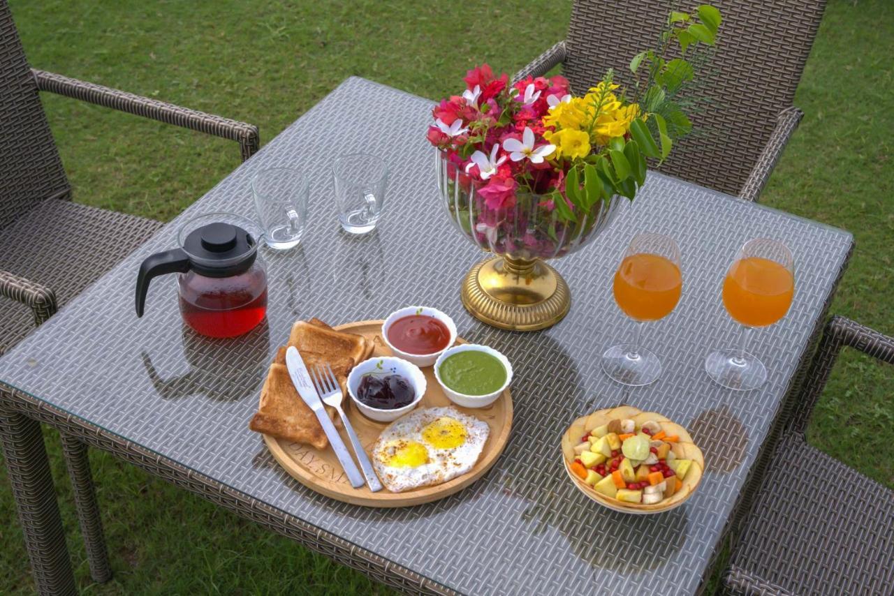 Stayvista At Hillside Paradise Dhauj المظهر الخارجي الصورة